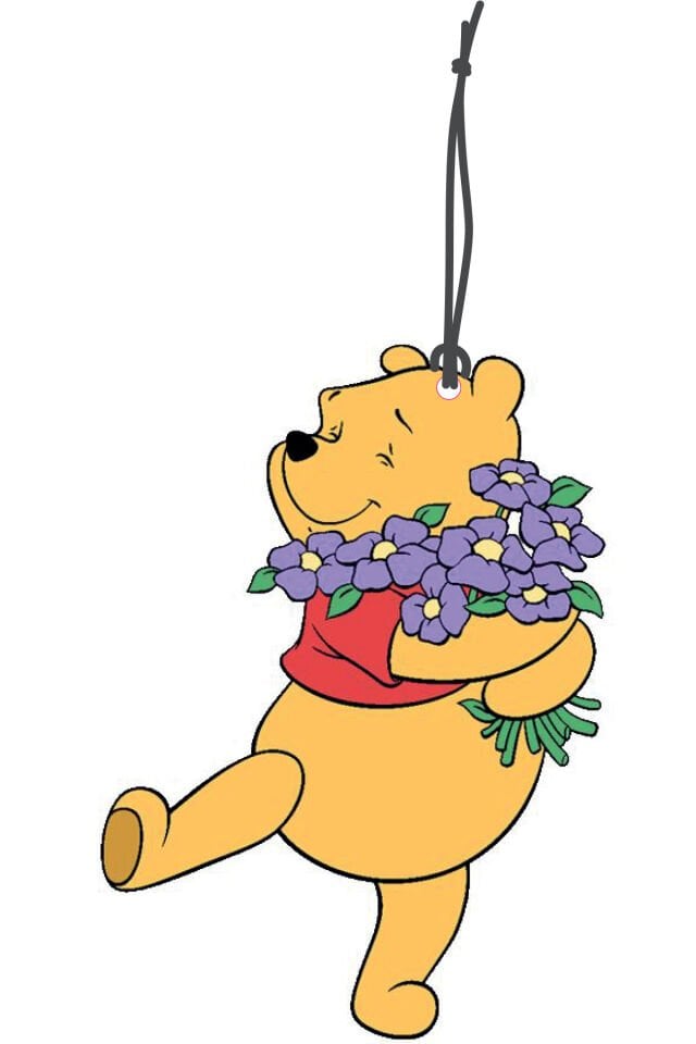 ByMeyla Sevimli Ayı Winnie Görselli Dekoratif Oto Kokusu ve Aksesuar Seti