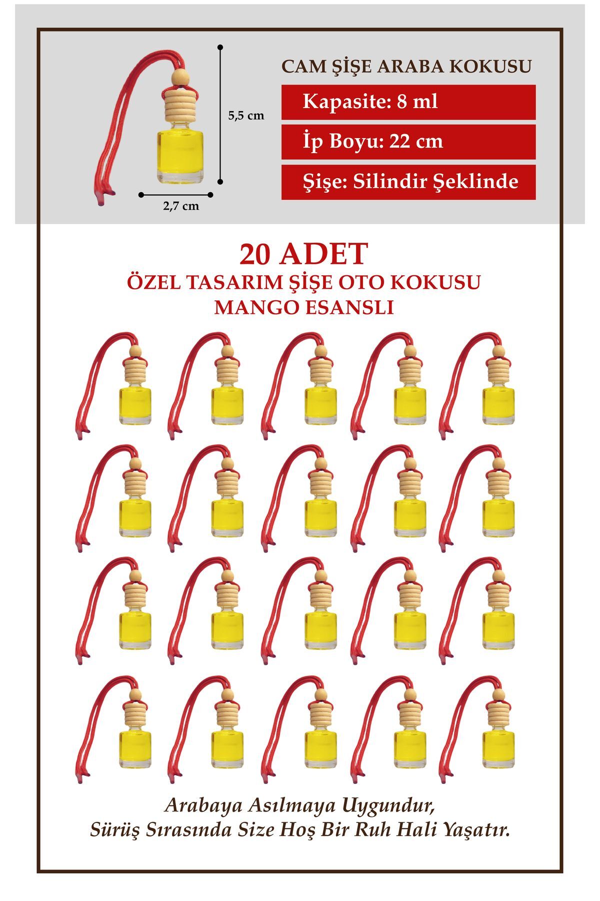MANGO MEYVE ESANSLI 20 Lİ CAM ŞİŞEDE OTO KOKUSU VE OTO AKSESUARI