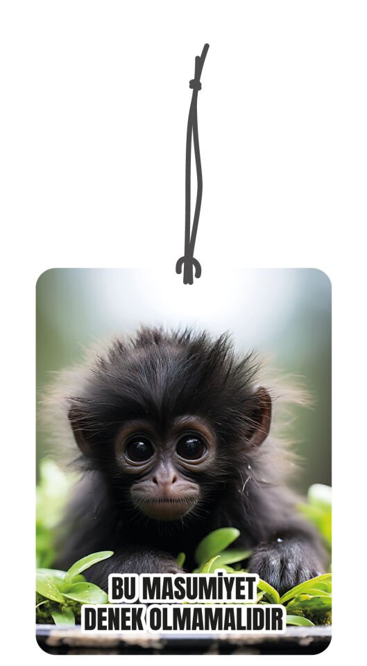 ByMeyla Kapuçin Yavru Maymun Görselli Çift Yönlü Dekoratif Oto Kokusu ve Oto Aksesuarı