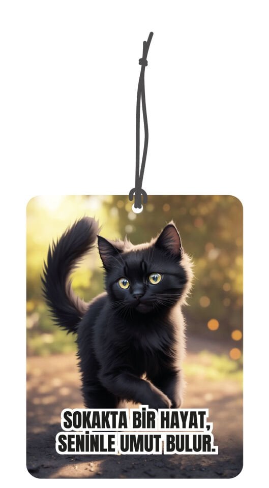 ByMeyla Sevimli ve Tatlı Kedi Görselli Çift Yönlü Dekoratif Oto Kokusu ve Oto Aksesuarı