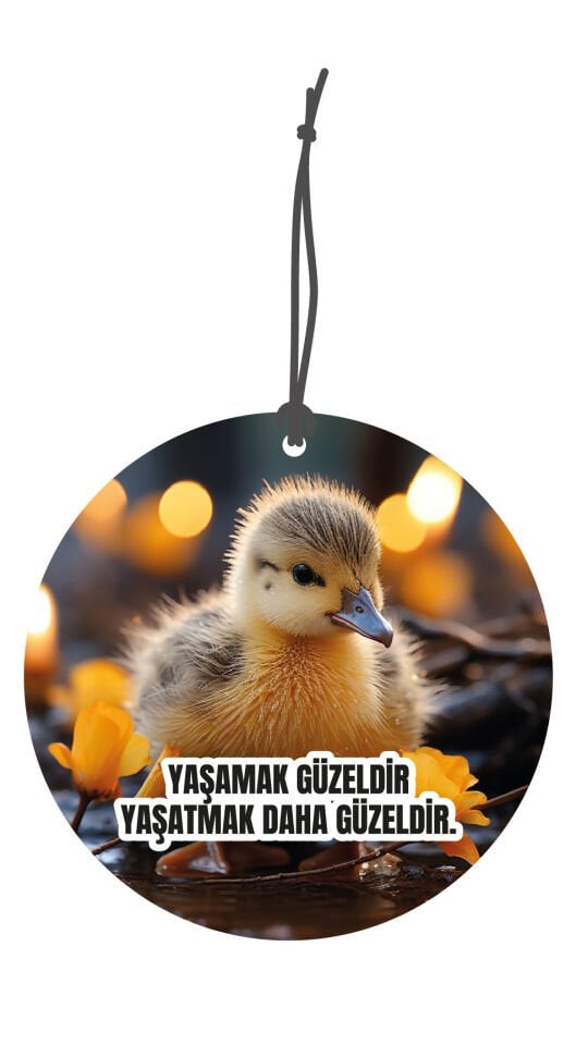 ByMeyla Çirkin Ördek Yavrusu Görselli Çift Yönlü Dekoratif Oto Kokusu ve Oto Aksesuarı