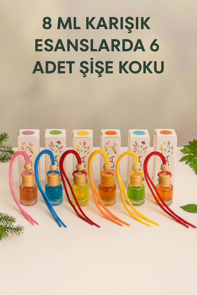 EN EKONOMİK KARIŞIK ESANSLI 6 LI OTO KOKUSU VE OTO AKSESUARI