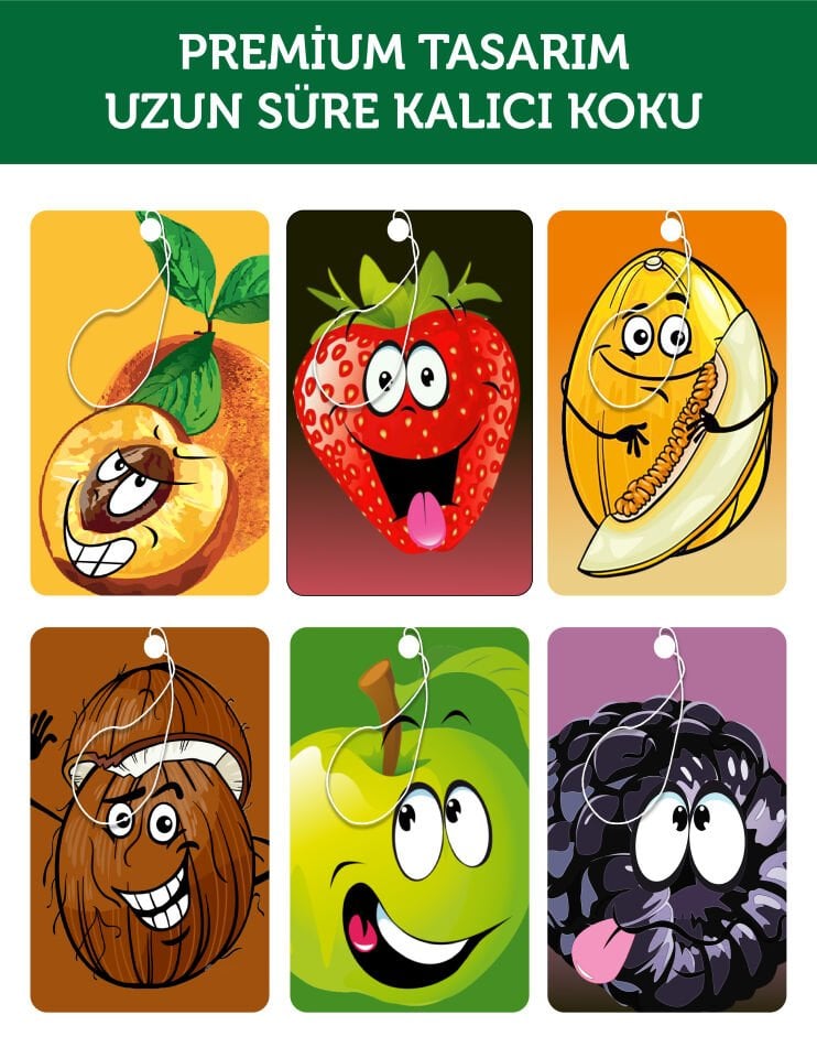 SEMPATİK 6LI MEYVE GÖRSELLİ KARIŞIK ESANSLI DEKORATİF OTO KOKUSU VE AKSESUAR SETİ