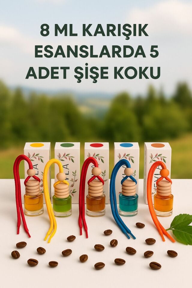 5 Adet Cam Şişe Oto Kokusu Serisi Tarzını Yansıt, Aracını Şımart!!!