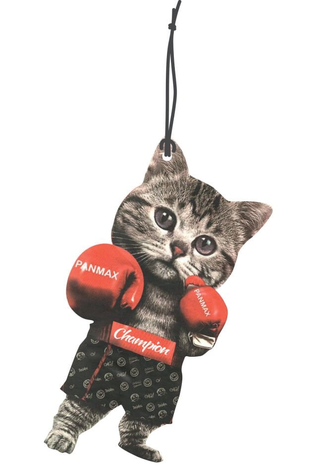 ByMeyla Boks Yapan Kedi Görselli Dekoratif Oto Kokusu ve Aksesuar Seti